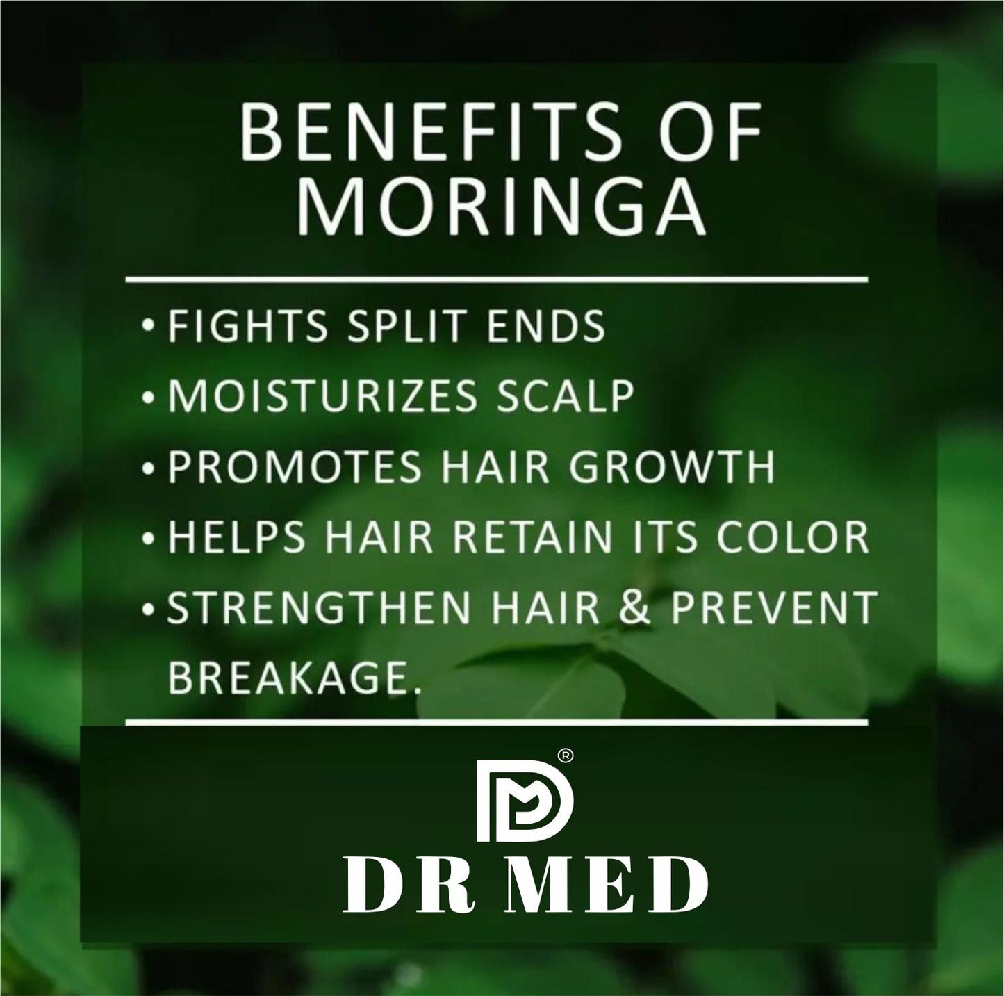 DR MED Moringa shampoo Paraben-Free, Sulphate-Free, Silicone-Free, Salt-Free 350ML.